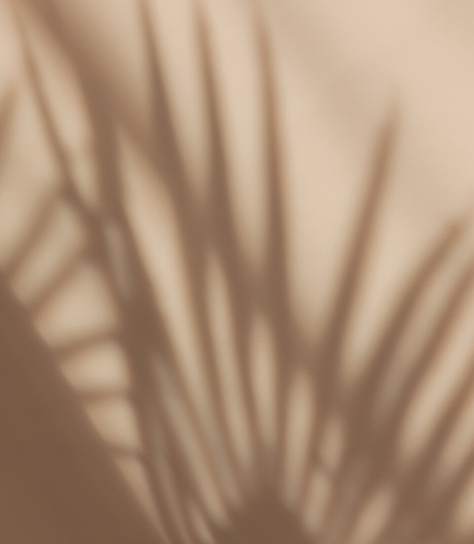 Private VIP Reset Wellness Retreats Private VIP Reset Wellness Retreats